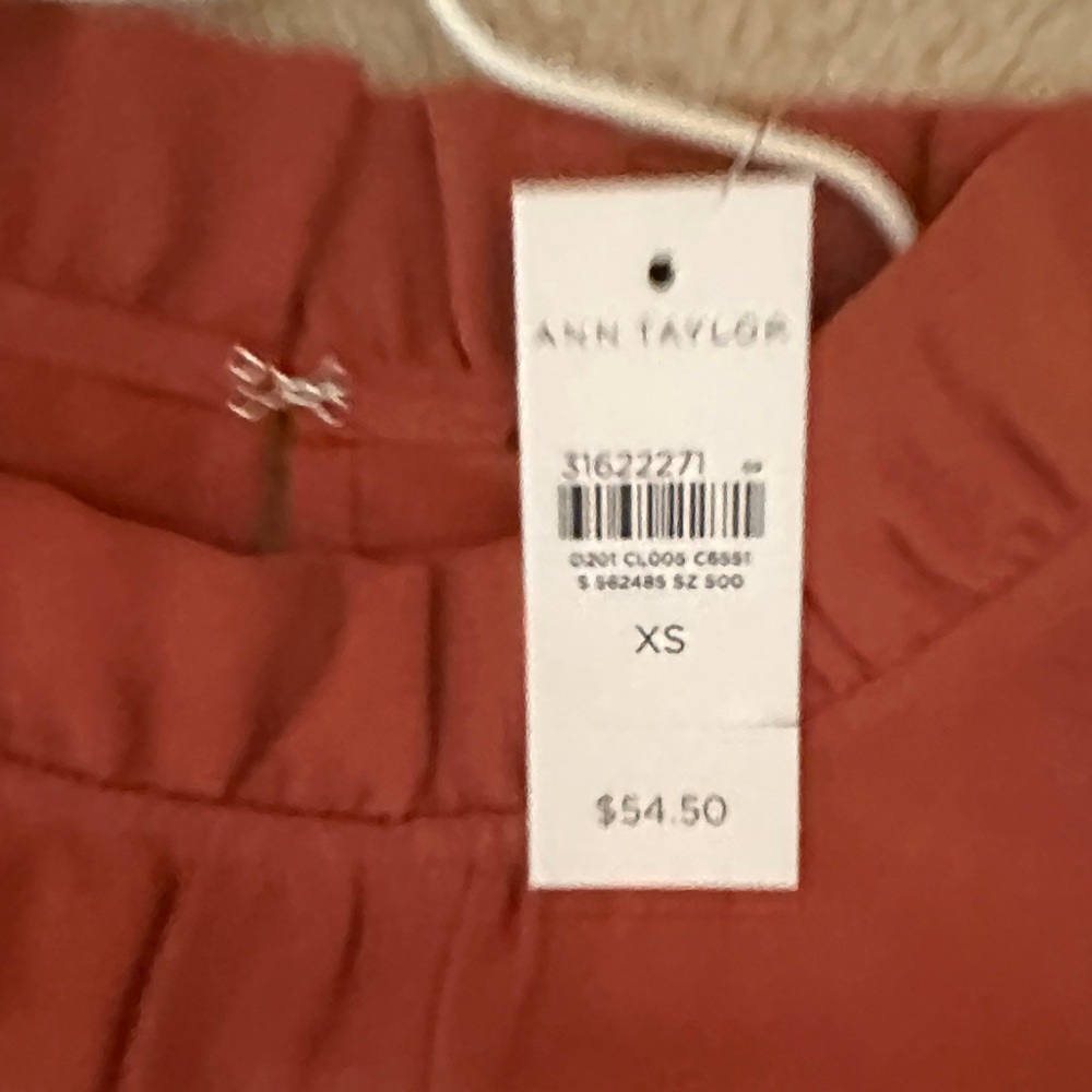 Ann Taylor Terracotta Skirt